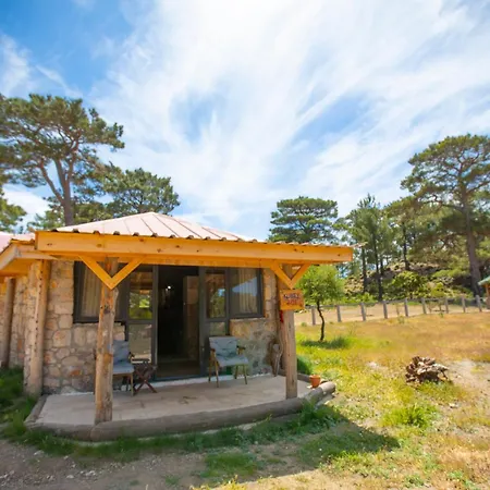 Babakamp Eco Ranch & Retreat 厄吕代尼兹
