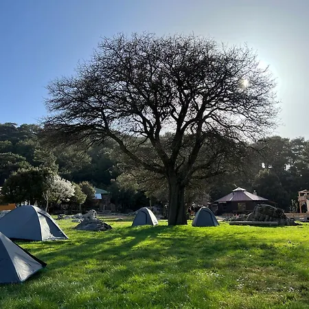 캠프장 Babakamp Eco Ranch & Retreat