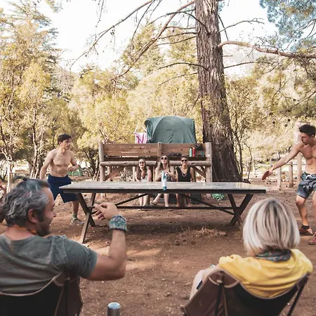 Babakamp Eco Ranch & Retreat 营地 *