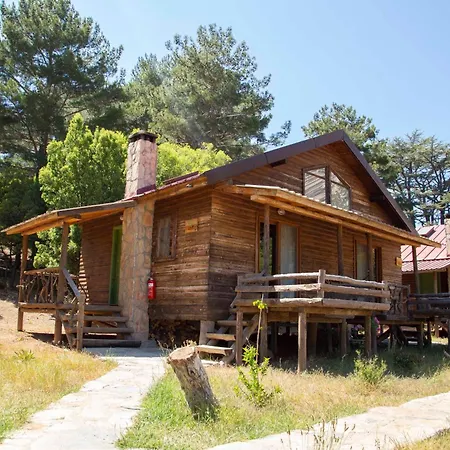 Babakamp Eco Ranch & Retreat Camping