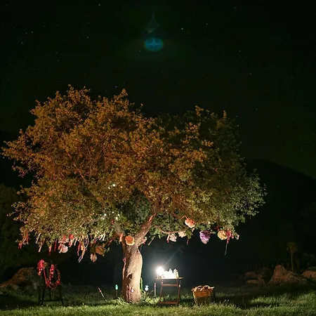Babakamp Eco Ranch & Retreat Camping